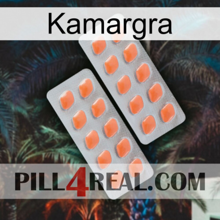 Kamargra 27